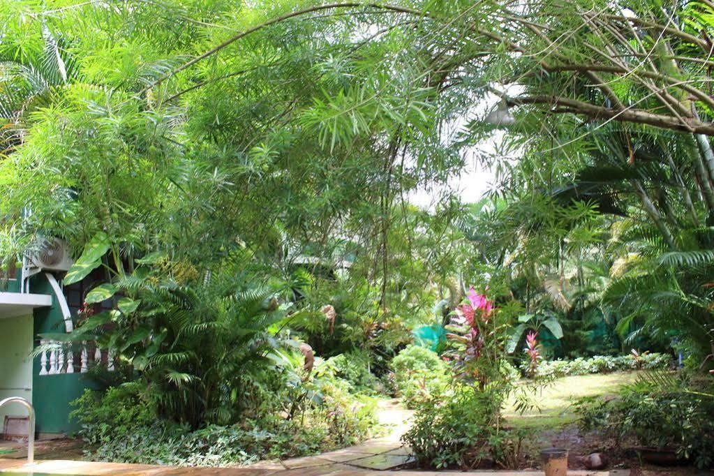 Villa Theresa Beach Resort Calangute Ngoại thất bức ảnh