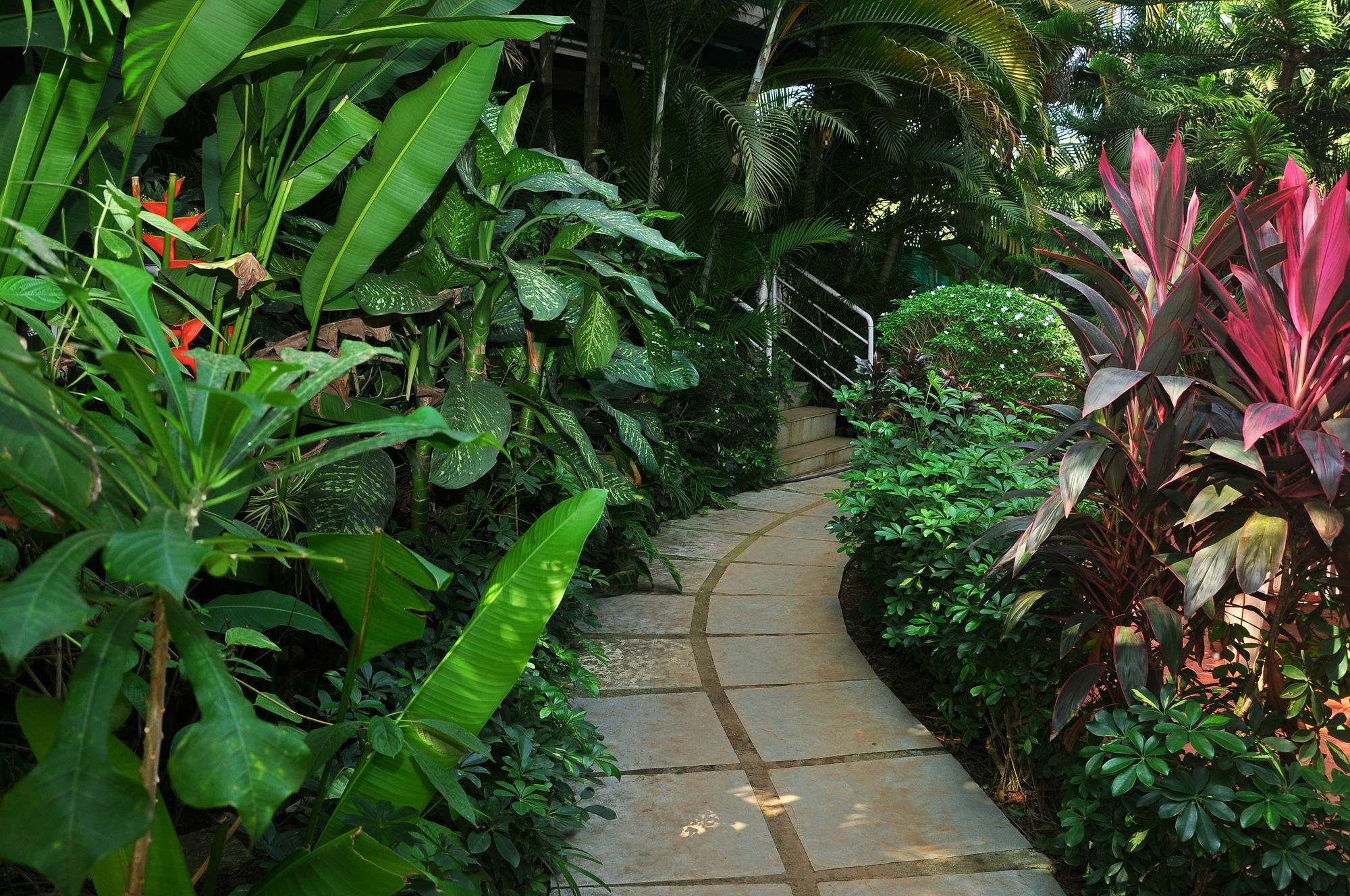 Villa Theresa Beach Resort Calangute Ngoại thất bức ảnh